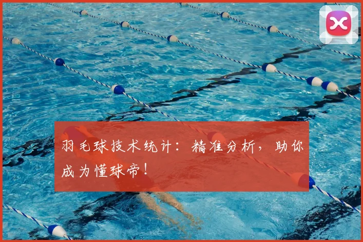 羽毛球技术统计:精准分析,助你成为懂球帝!
