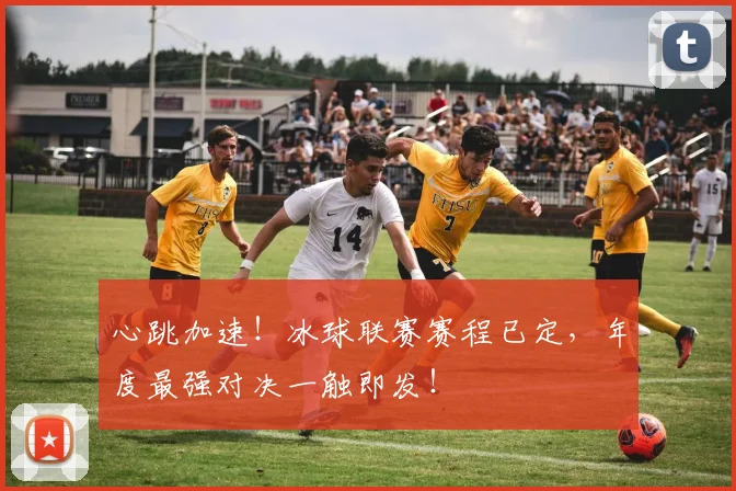 心跳加速!冰球联赛赛程已定,年度最强对决一触即发!