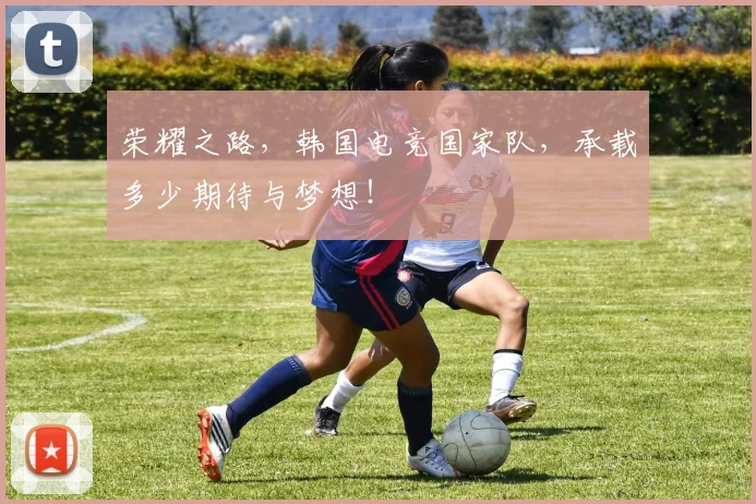 荣耀之路,韩国电竞国家队,承载多少期待与梦想!